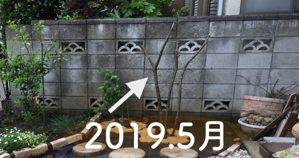 f:id:kmomiji:20200413131402j:plain