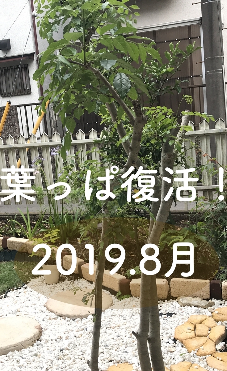 f:id:kmomiji:20200413131406j:plain