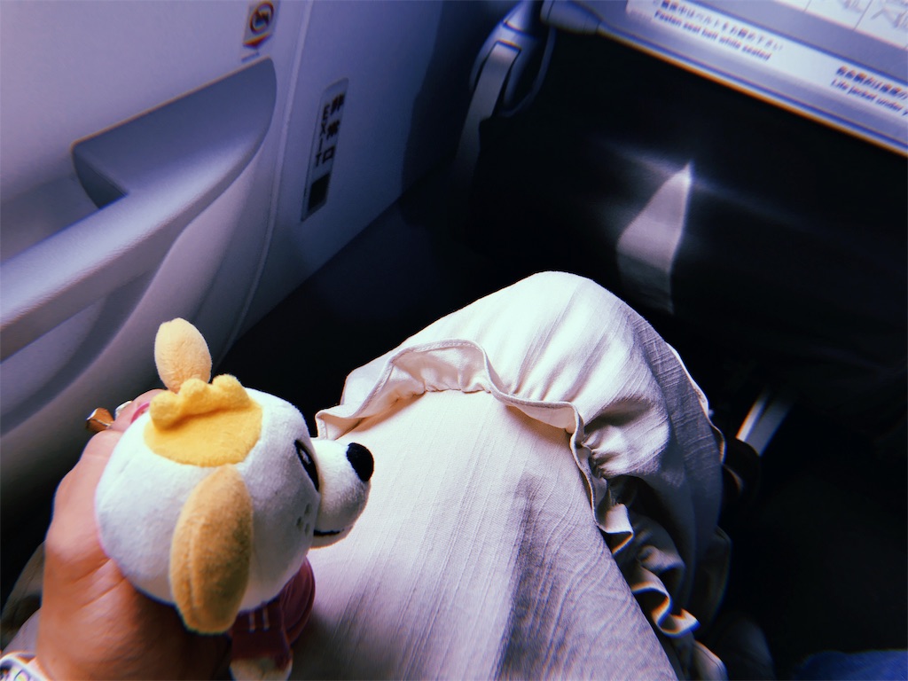 f:id:kmr8810:20190713212216j:image