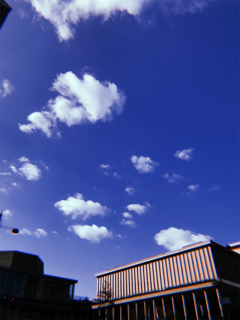 f:id:kmr8810:20200301194038j:image