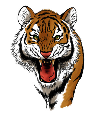 f:id:kmt035:20090210235212j:image
