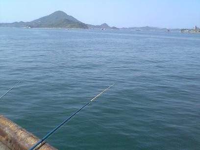 f:id:kmts:20060504121900j:image f:id:kmts:20060504121900j:image