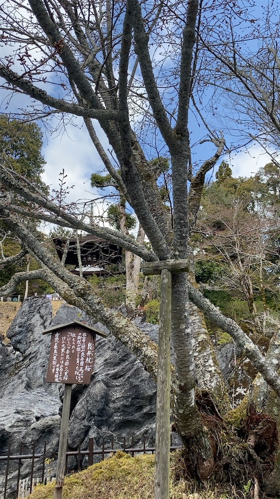 f:id:kmtsys:20220321123803j:image