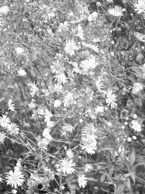 f:id:kmty:20110907125330j:image