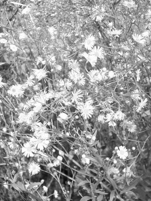 f:id:kmty:20110907125336j:image