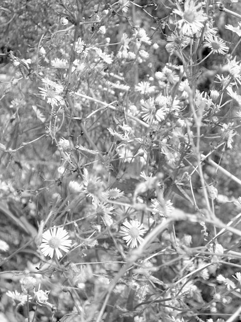 f:id:kmty:20110907125348j:image