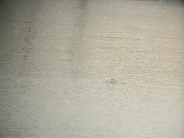 f:id:kmty:20120406131526j:image