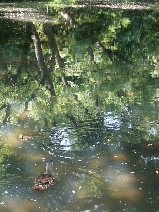 f:id:kmty:20120630114738j:image
