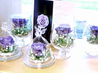 20101224171256