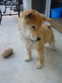 20100502171313