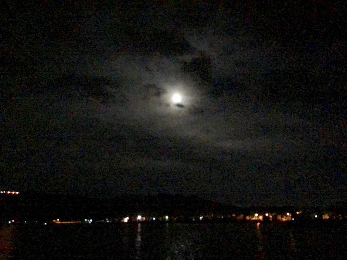 f:id:kn3826:20190814125826j:plain f:id:kn3826:20190814125826j:plain