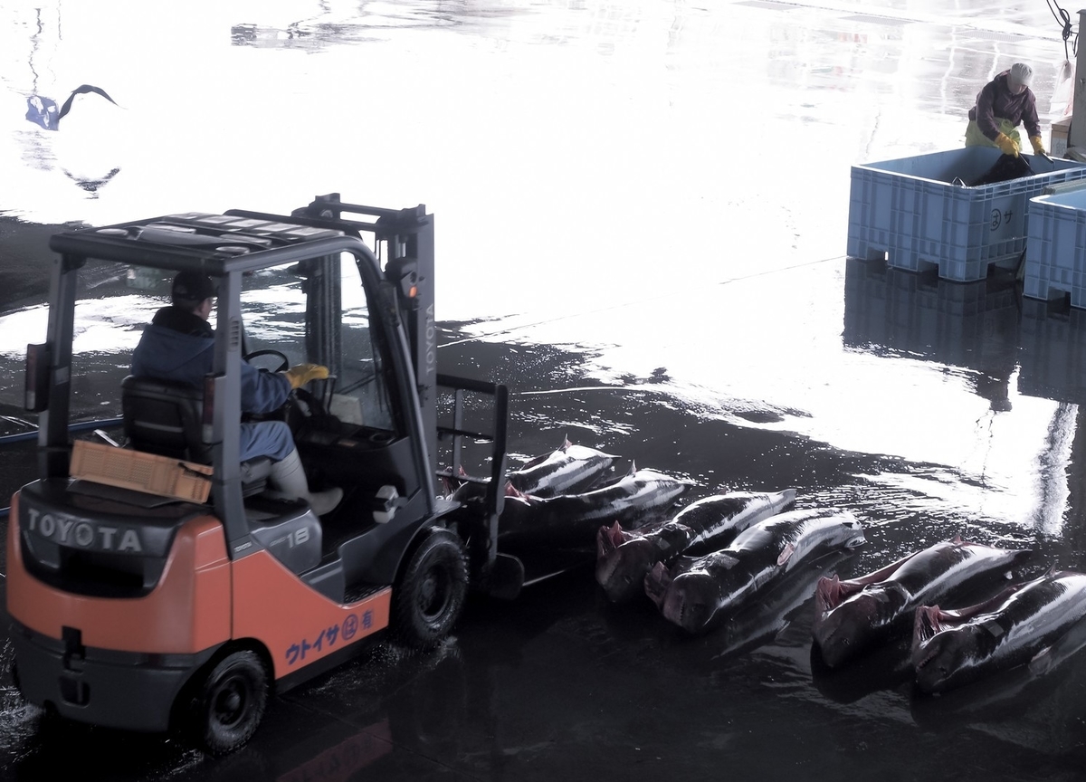 f:id:knana19:20190706132705j:plain f:id:knana19:20190706132705j:plain