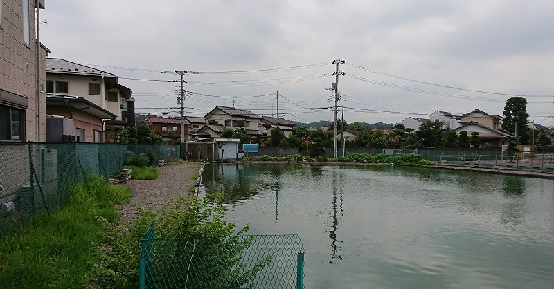 f:id:knana19:20200716171359j:plain f:id:knana19:20200716171359j:plain