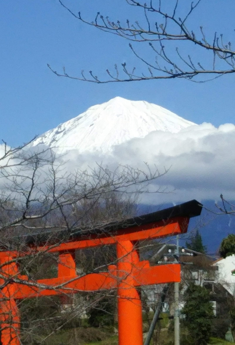 f:id:knananana:20201112151250j:plain