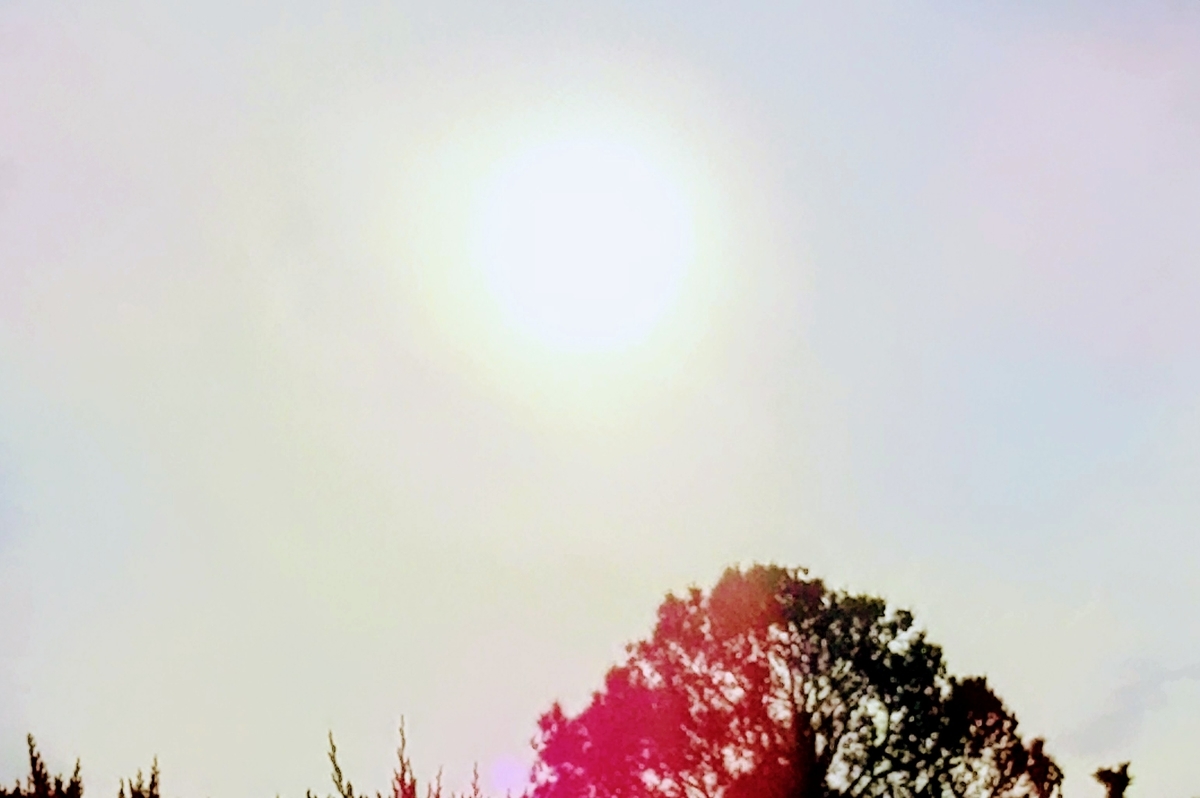 f:id:knananana:20201113095320j:plain