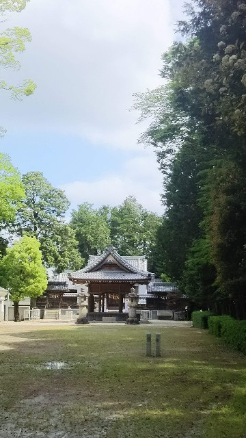 f:id:knananana:20201119154055j:plain