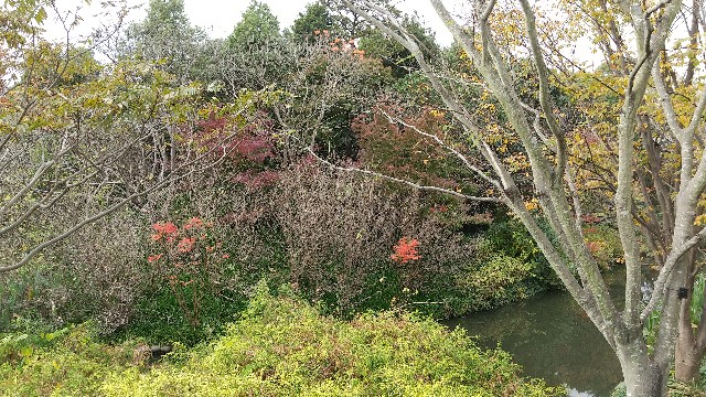 f:id:knananana:20201122165947j:image