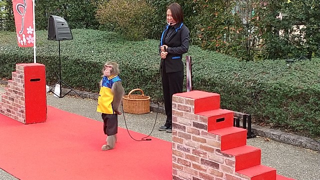 f:id:knananana:20201122170127j:image