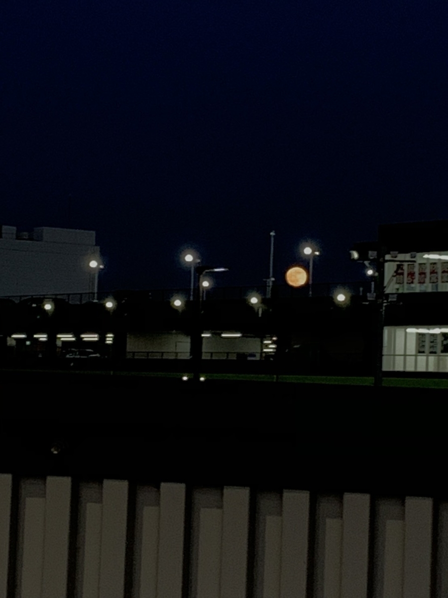 f:id:knananana:20201130203438j:plain