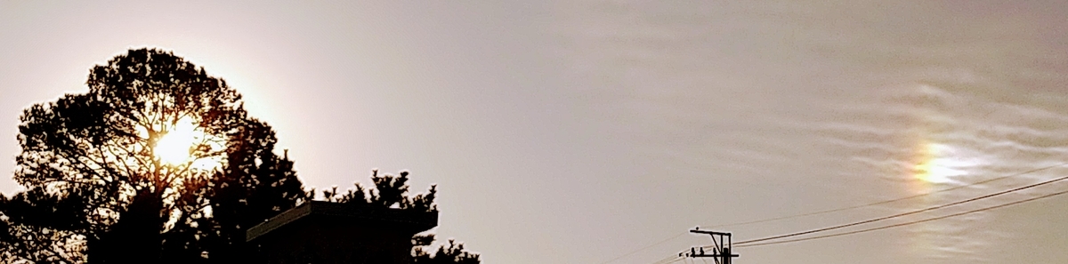 f:id:knananana:20201208082316j:plain