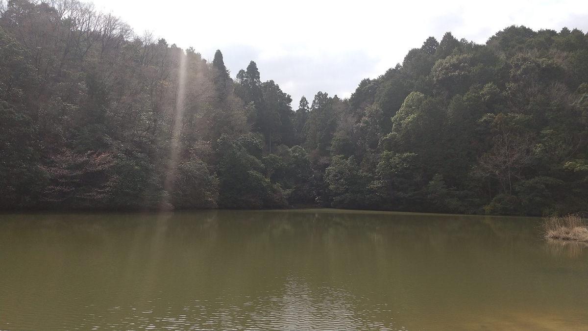 f:id:knananana:20210328113734j:plain