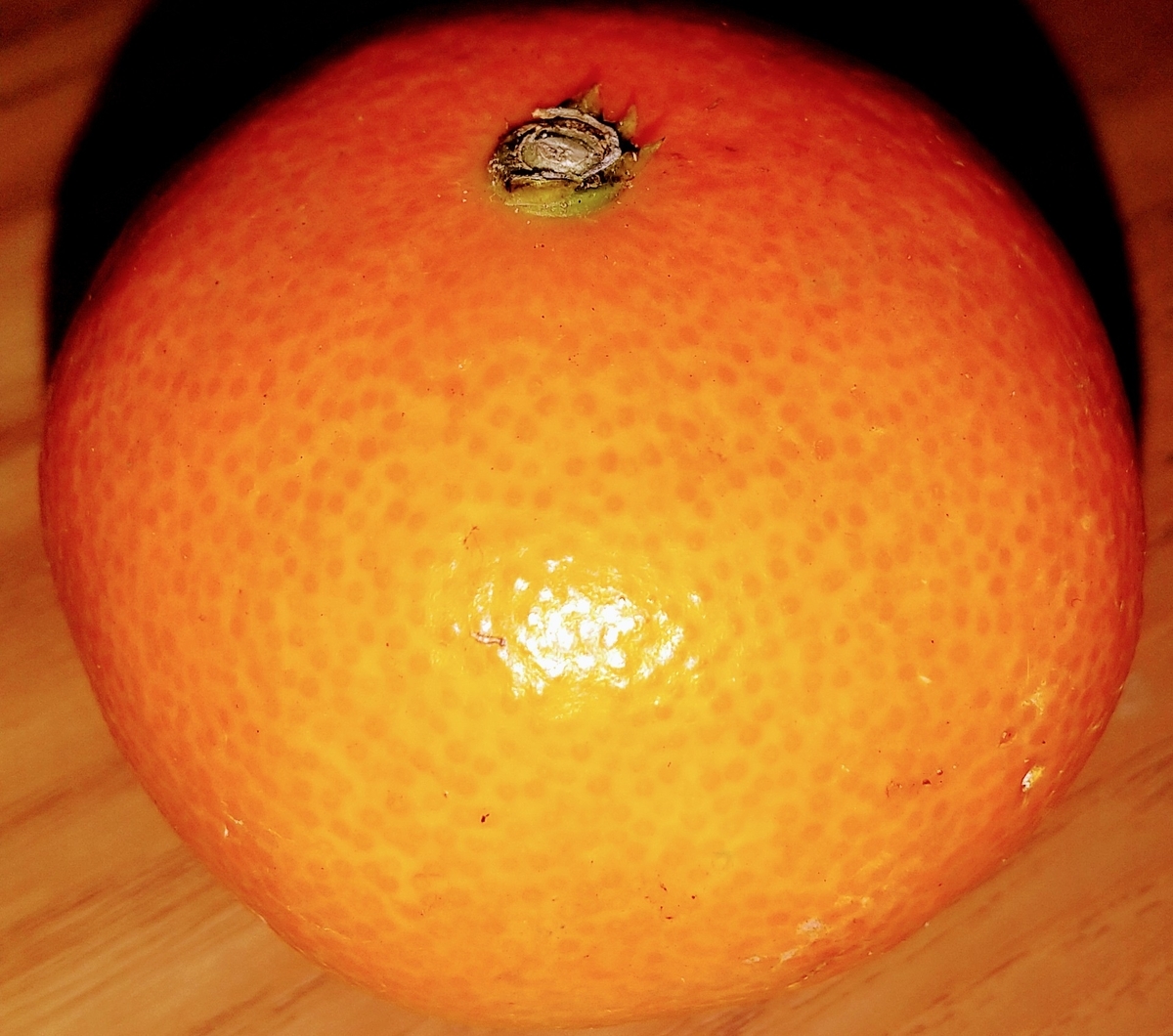 f:id:knananana:20211205234926j:plain
