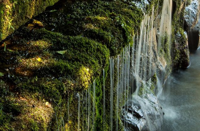 吉野線の薬水駅、どうしてこんな駅名に？弘法大師（空海）が関係してた