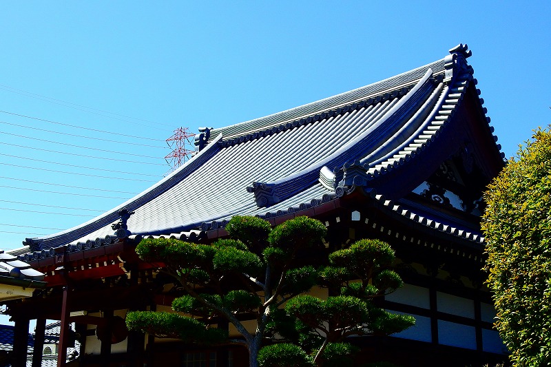 法善寺駅の元ネタだった寺院「法善寺」はどこ？日本一の会社がここにもあった