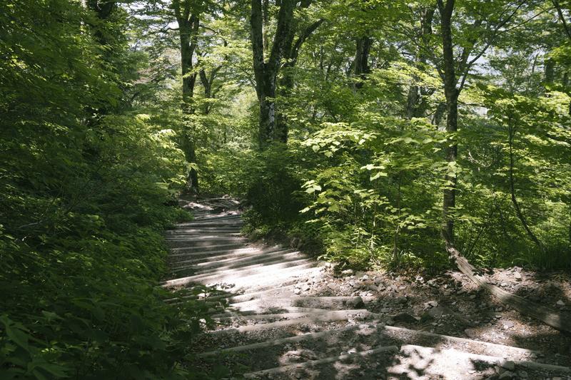 耳成は山の形が由来だった