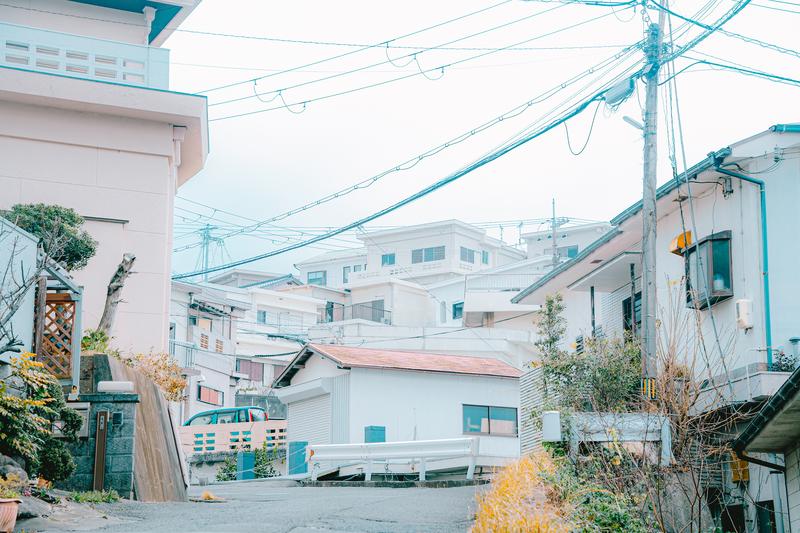 枚岡村の特徴