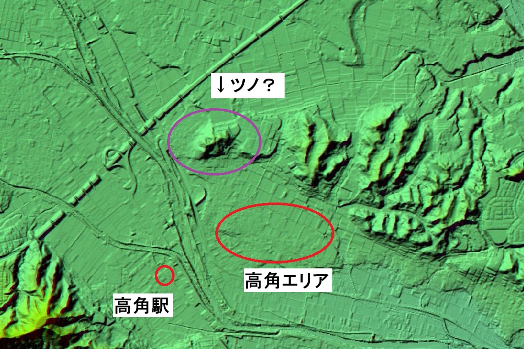 高角の由来か？