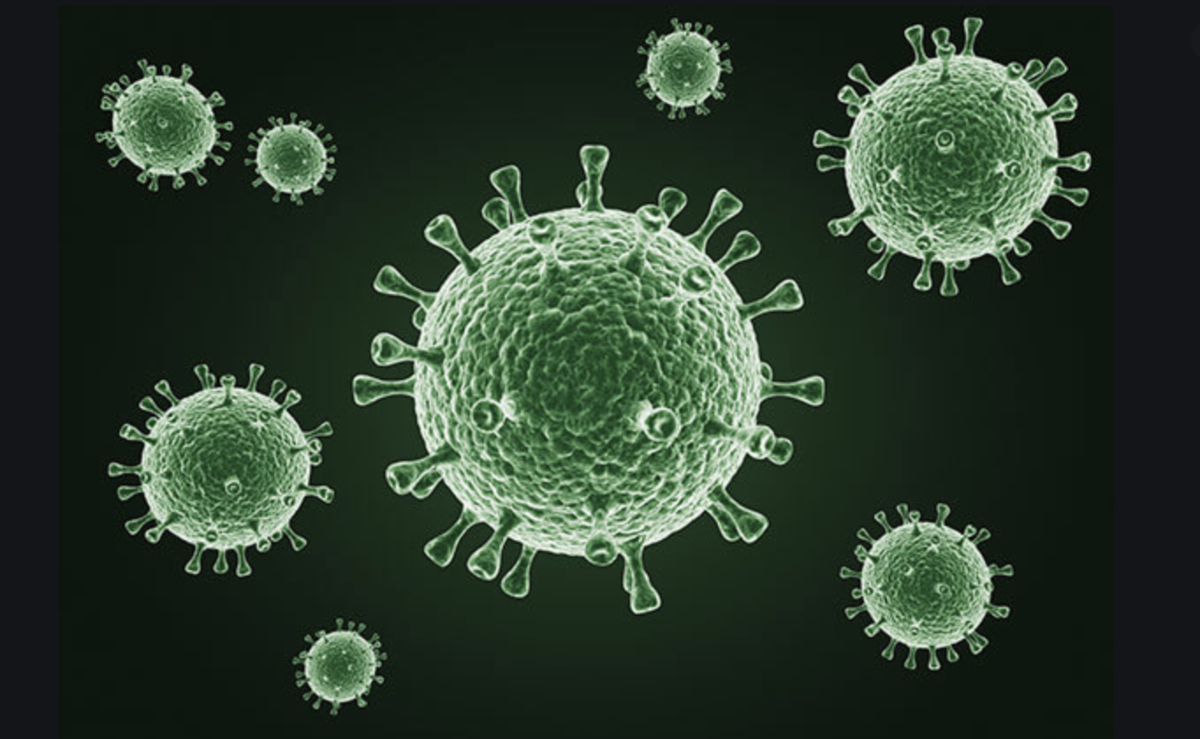 f:id:knewyorklife:20200319121511p:plain