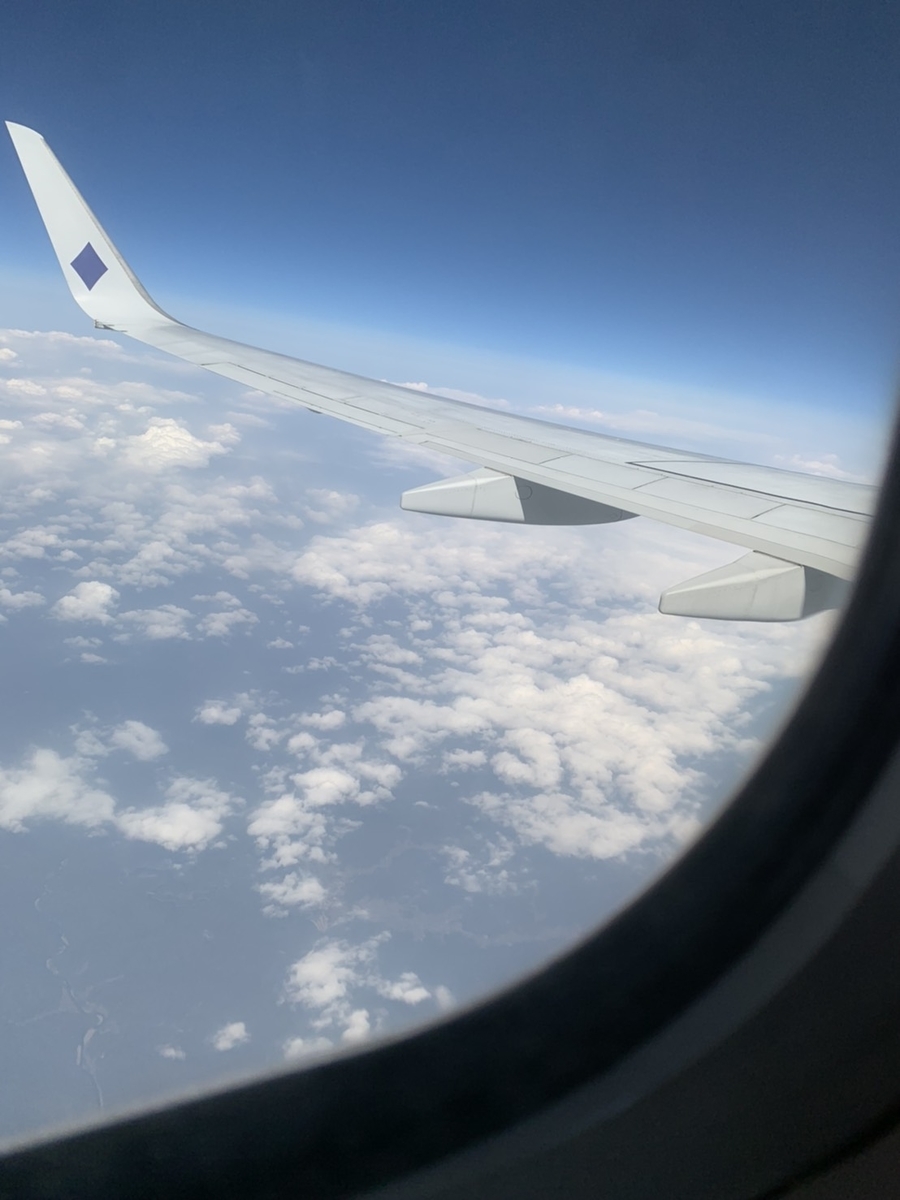 f:id:knewzablog:20210408184651j:plain