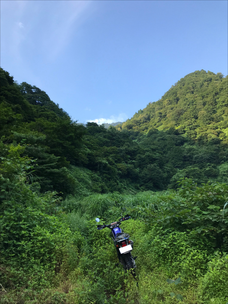 f:id:knissy10:20180718100042j:plain f:id:knissy10:20180718100042j:plain