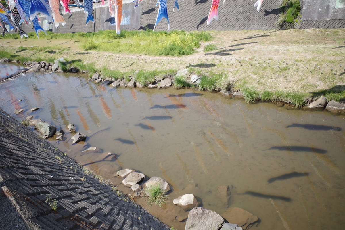 f:id:knissy10:20190507003033j:plain
