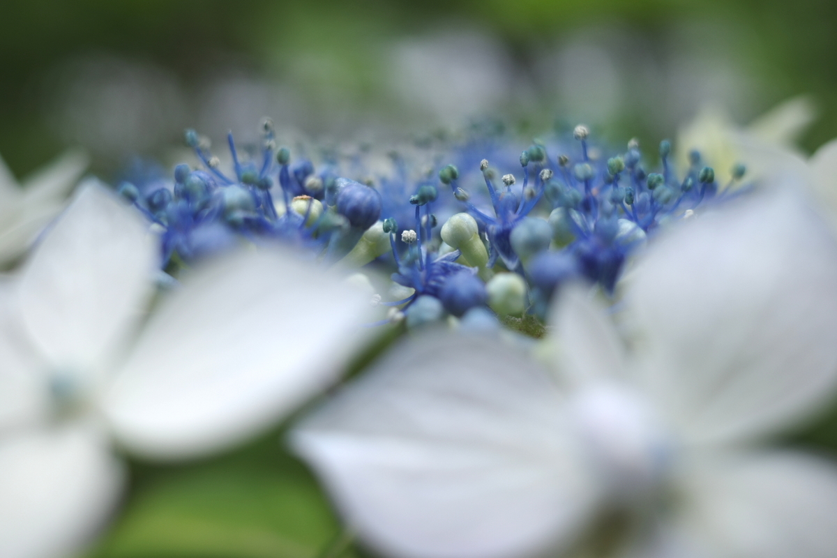 f:id:knissy10:20190617231532j:plain