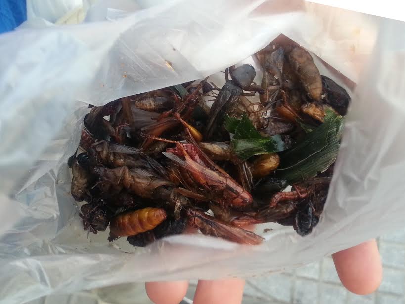 f:id:knj4484:20160320103554j:plain