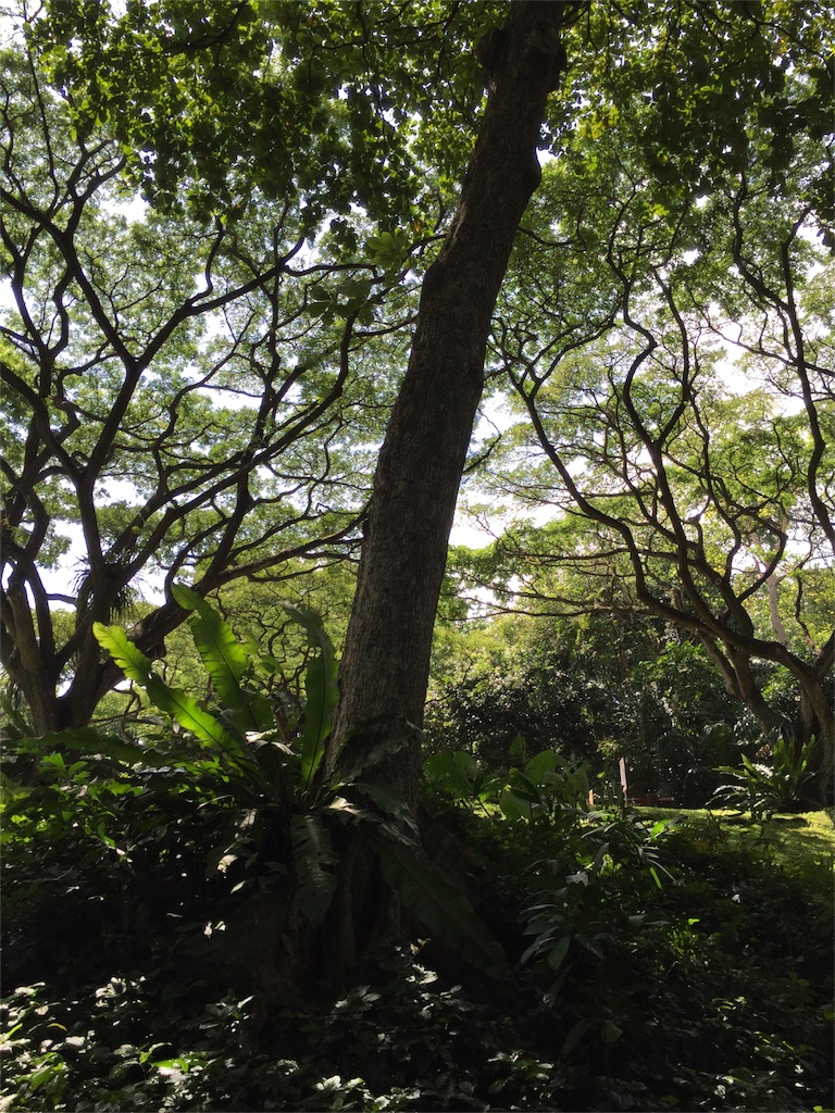 f:id:knj4484:20160628180534j:plain f:id:knj4484:20160628180534j:plain