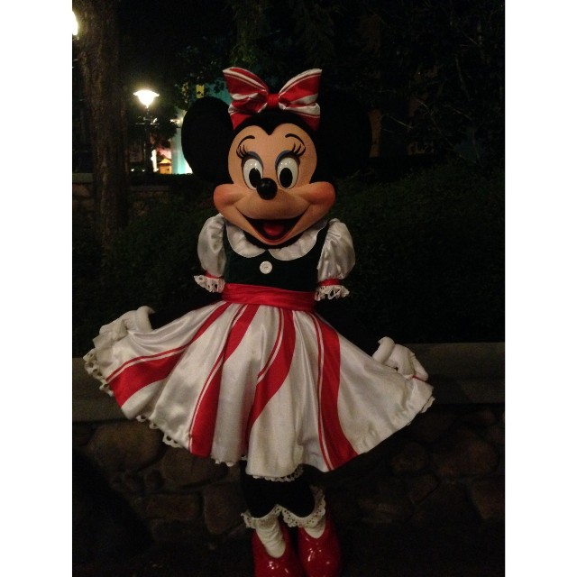f:id:knk1025k:20190222043348j:image f:id:knk1025k:20190222043348j:image
