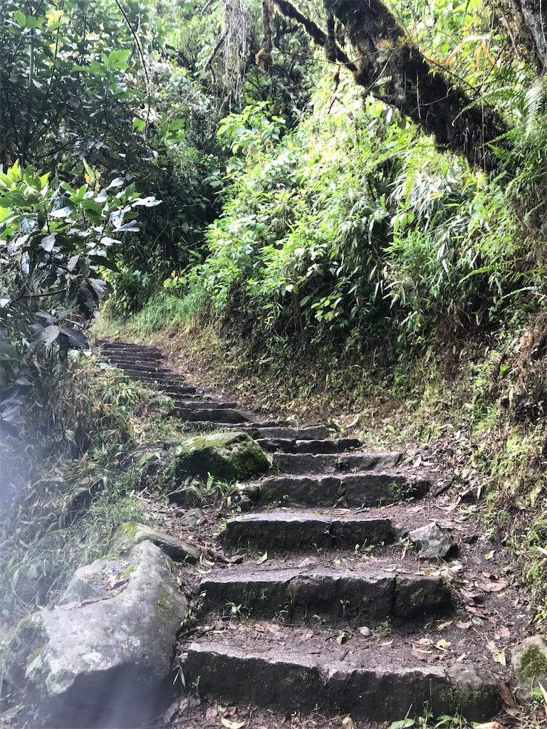 f:id:knkei:20190201012749j:image