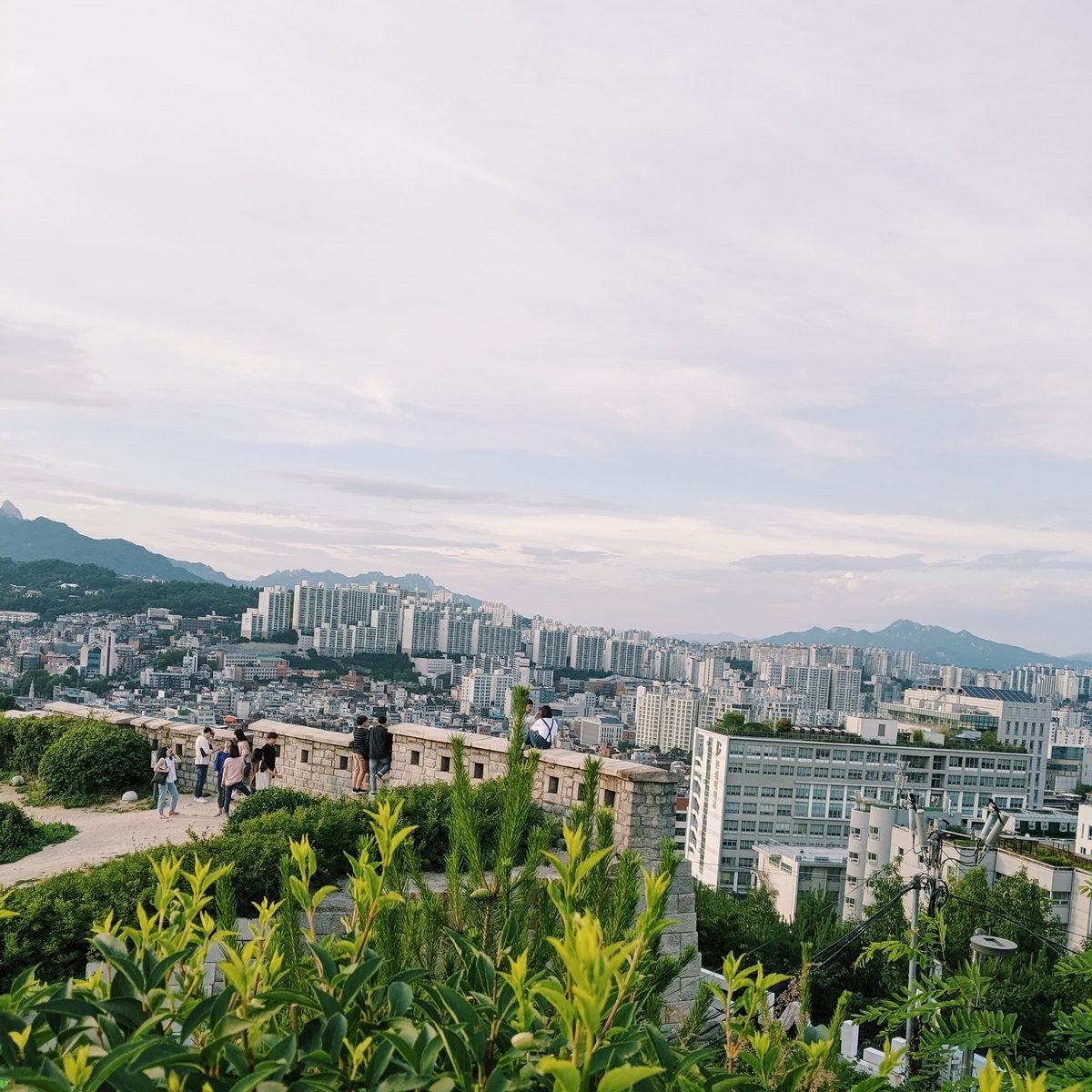 f:id:knksor:20190621004554j:plain