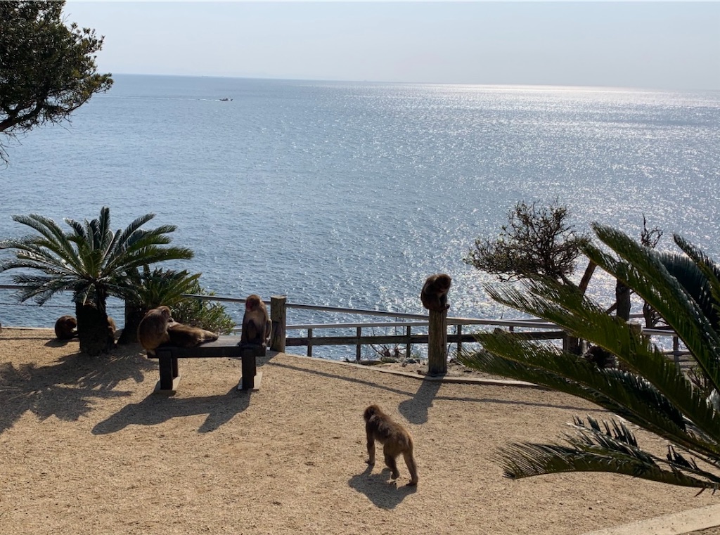 f:id:knn0613:20230120121743j:image f:id:knn0613:20230120121743j:image