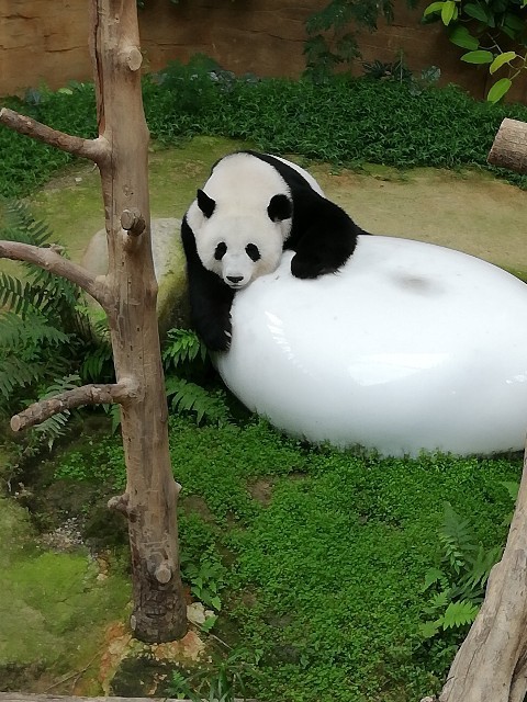 f:id:knnkanda:20180704170740j:image