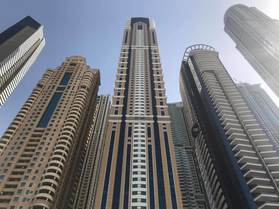 f:id:knnkanda:20190120134353j:plain