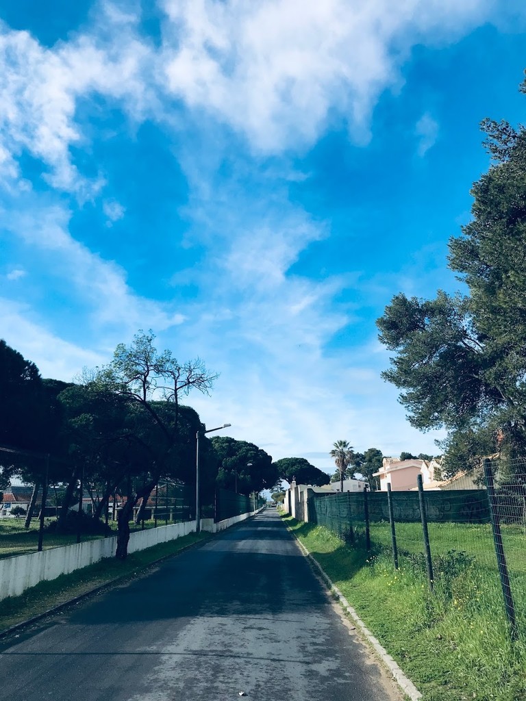 f:id:knnkanda:20190130022023j:plain