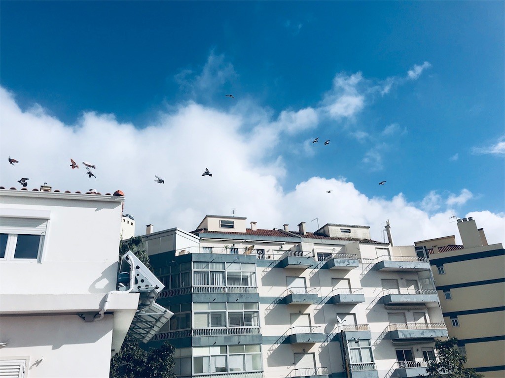 f:id:knnkanda:20190201222120j:image