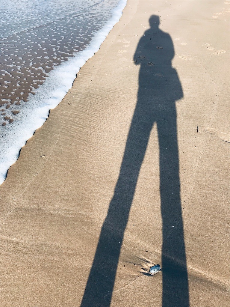 f:id:knnkanda:20190203191151j:image