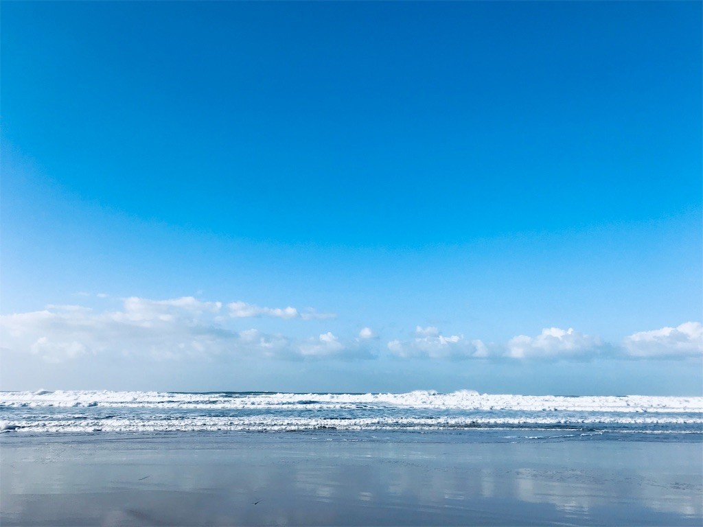 f:id:knnkanda:20190203191700j:image