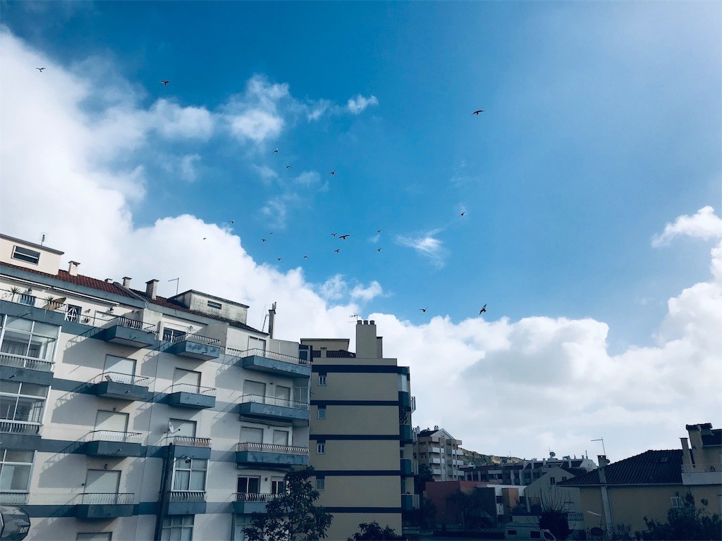 f:id:knnkanda:20190203191845j:plain f:id:knnkanda:20190203191845j:plain