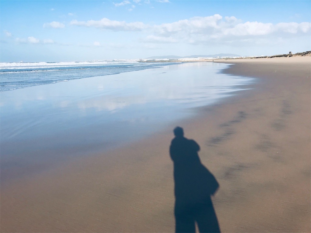 f:id:knnkanda:20190203192404j:image